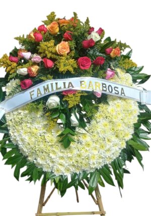 Corona de colores R46